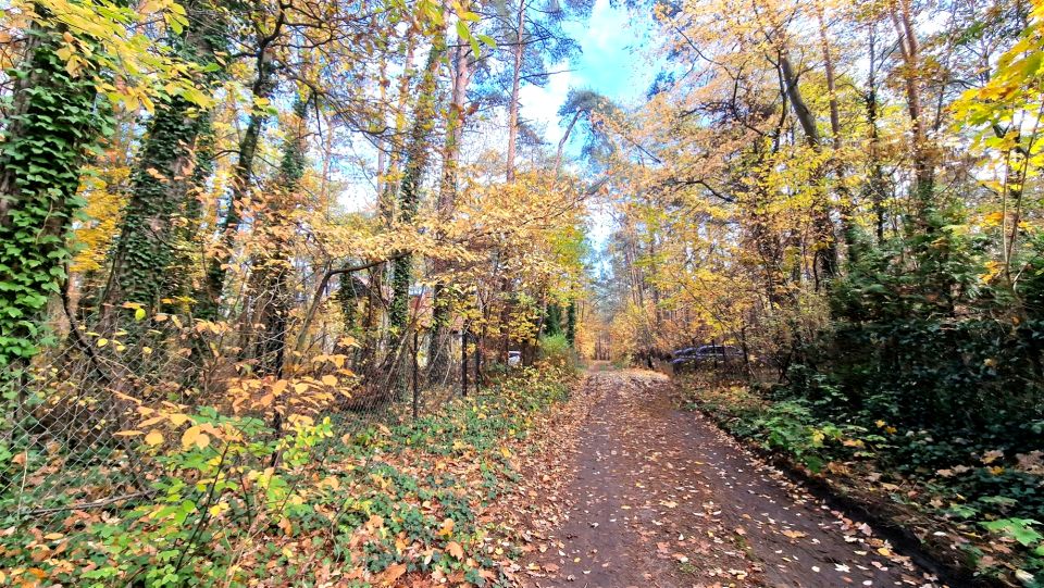 Działka budowlana Sokolniki-Las