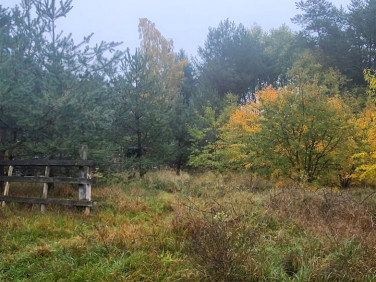 Działka rekreacyjna Borek