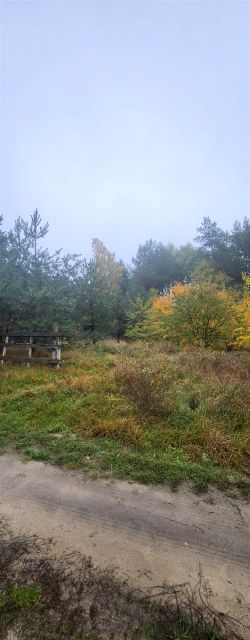 Działka rekreacyjna Borek