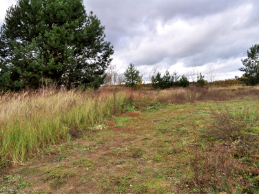 Działka Łopuchowo