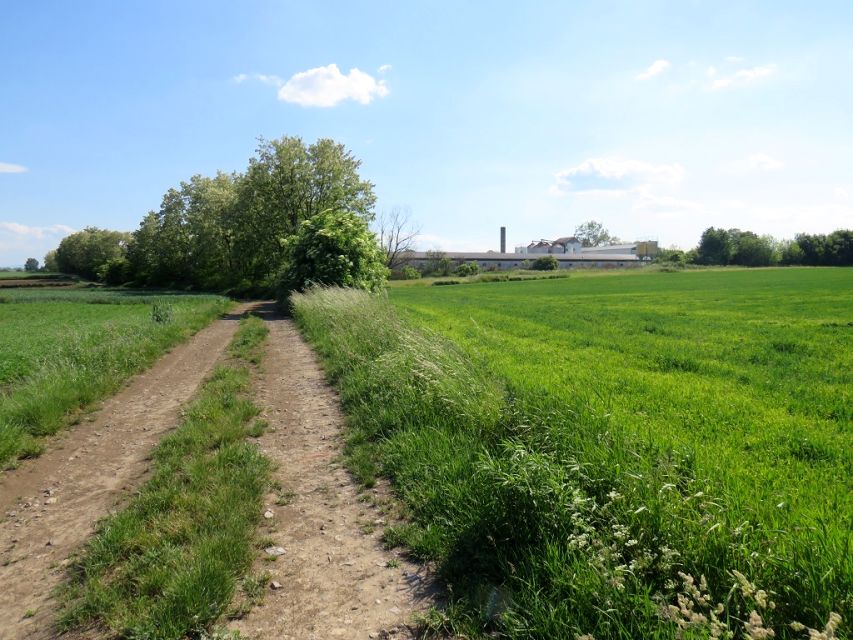 Działka usługowa Klimontów sprzedam