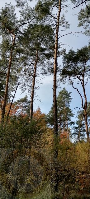 Działka ŁASK