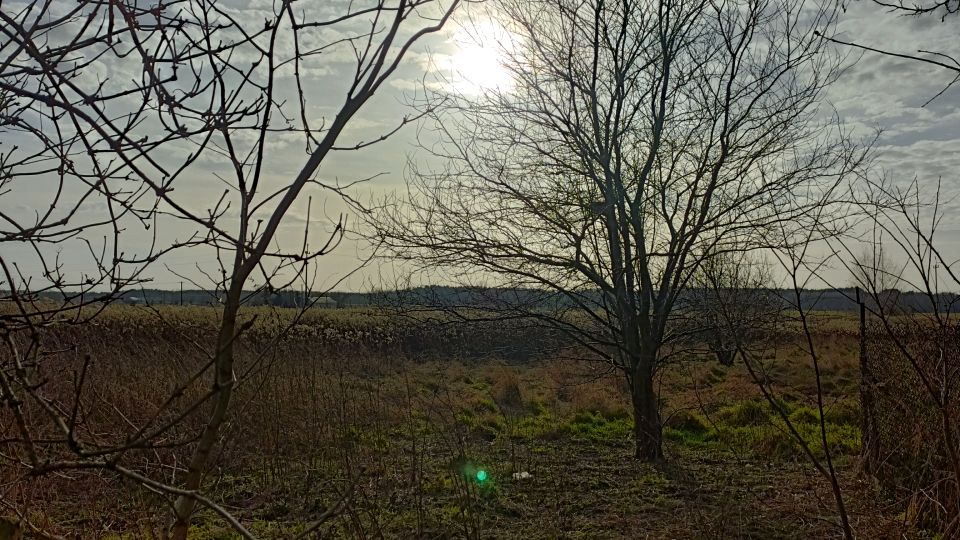 Działka budowlano-rolna Wola Rasztowska