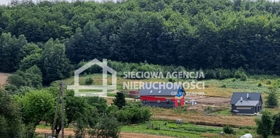 Zdjęcie 2