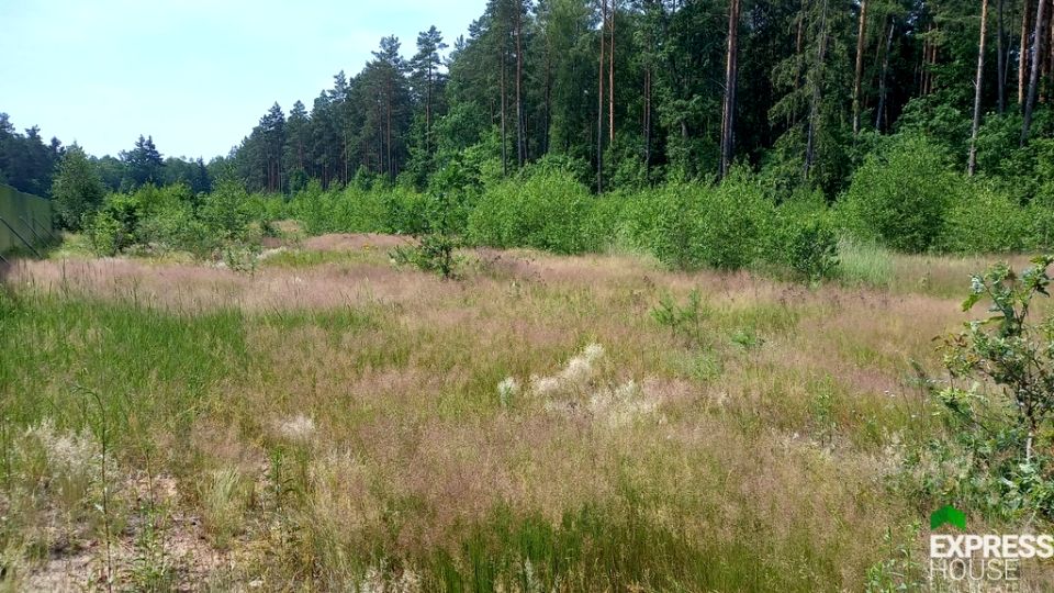 Działka budowlana Niewodnica Korycka