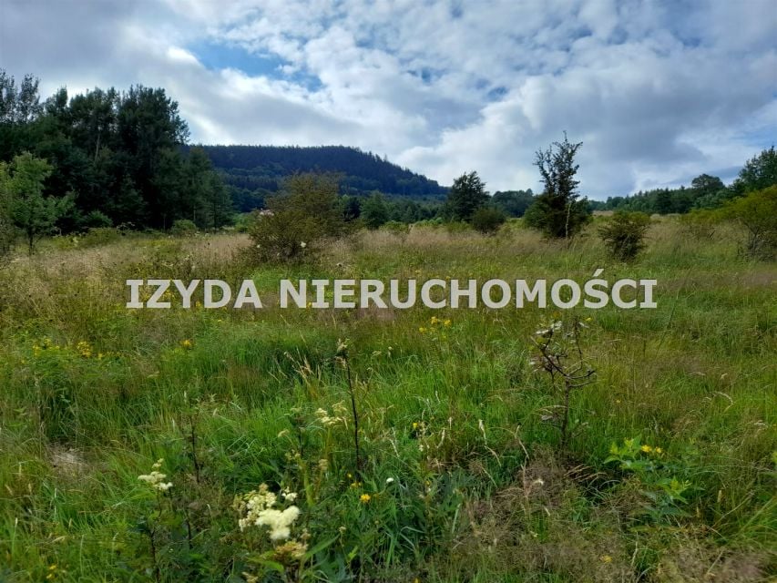 Zdjęcie 2