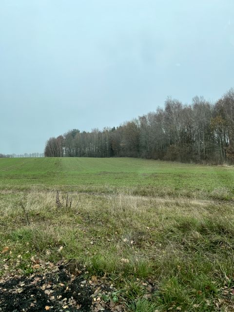 Działka przy lesie