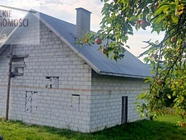 Dom Stępina