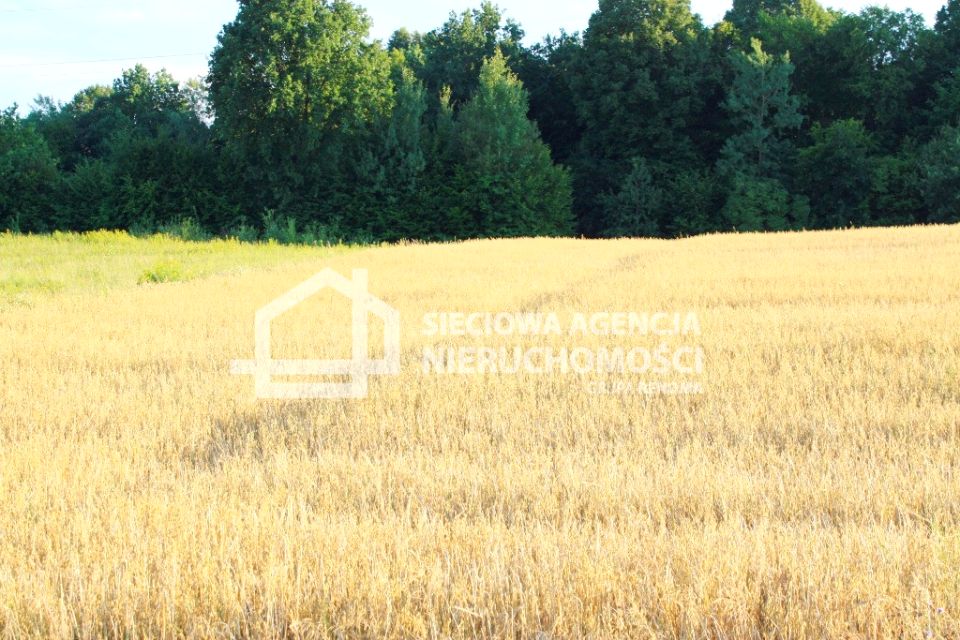 Działka budowlana Tokary sprzedam