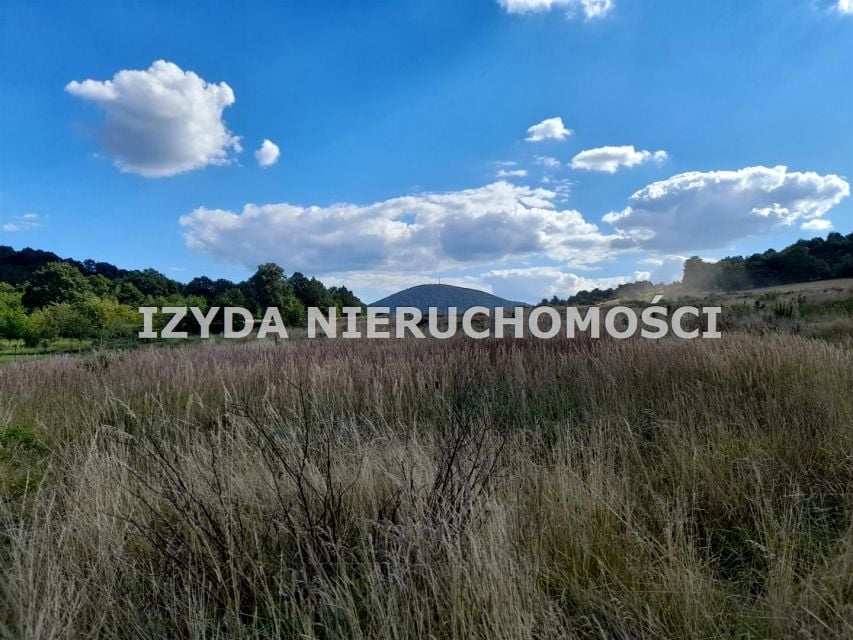 Zdjęcie 2