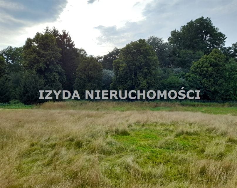 Zdjęcie 2