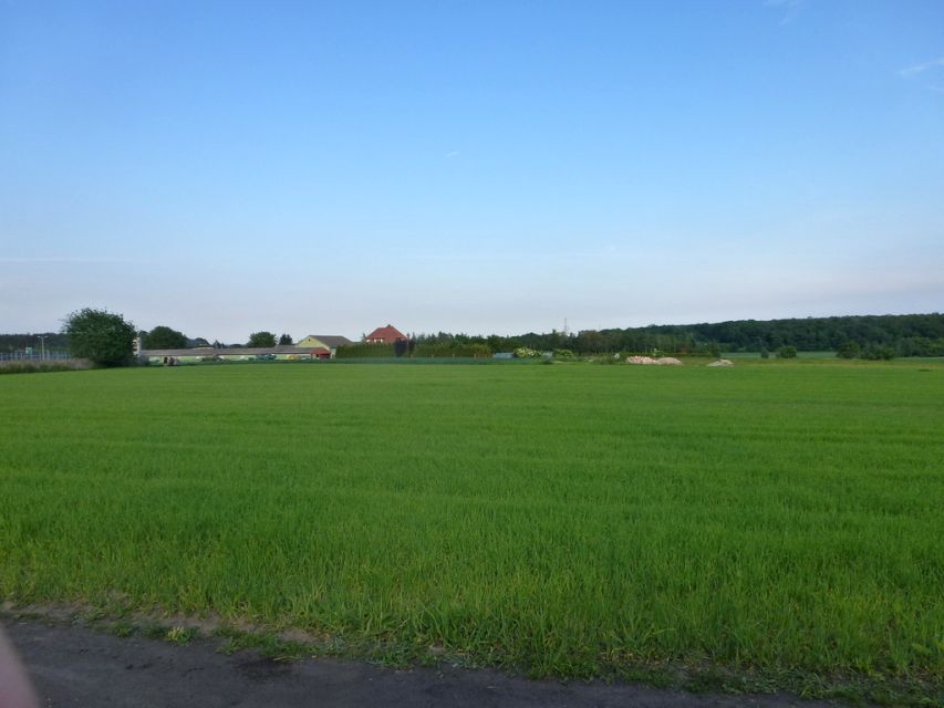 Zdjęcie 3