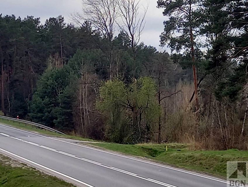 Działka usługowa Zielona Góra