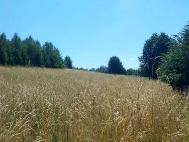 Działka rolna Glinik Polski