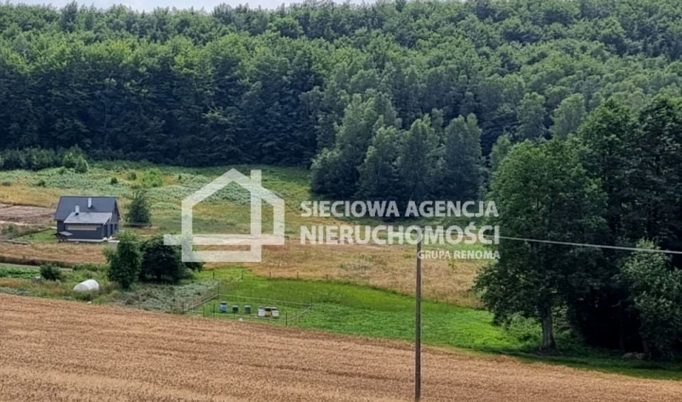 Zdjęcie 3