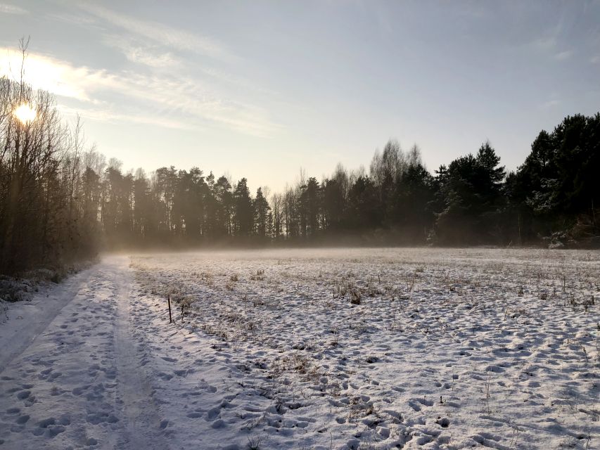 Działka Henrykowo