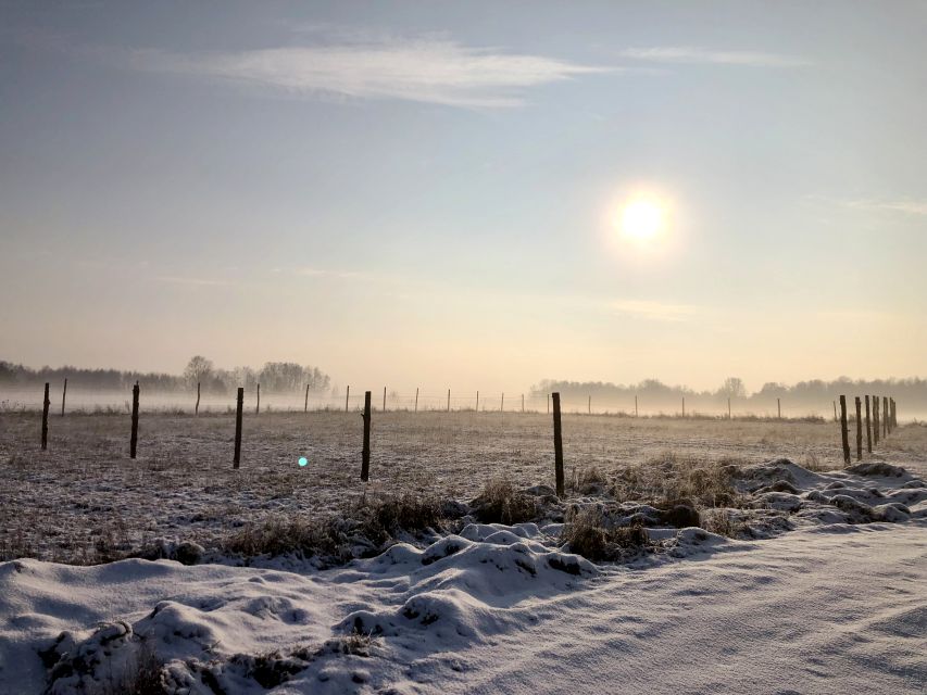 Działka budowlano-rolna Kuriany sprzedam