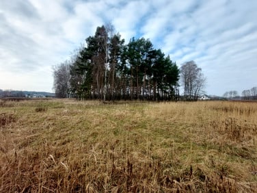 Działka budowlana Czarne Błoto sprzedam