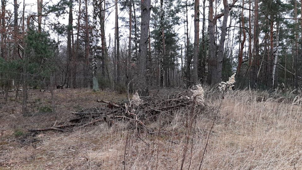 Działka inna sprzedam