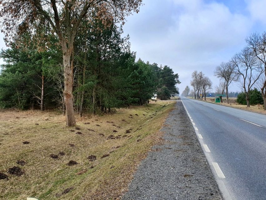Działka Nowe Orzechowo
