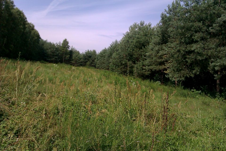 Działka rolna Mędrów