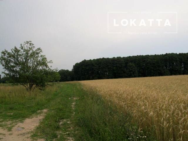 Zdjęcie 2