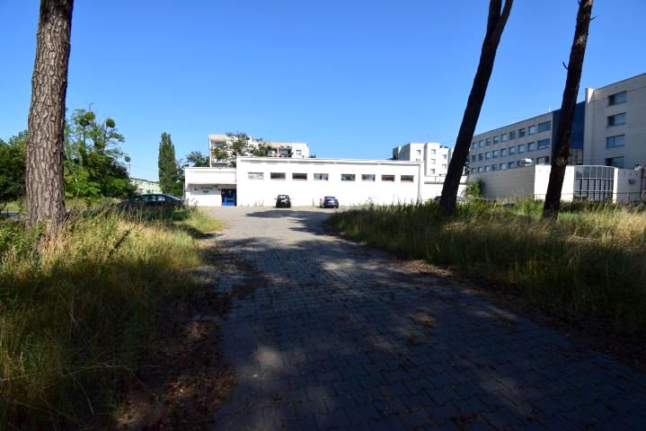 Lokal Strzelce Opolskie