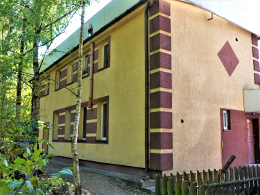 Lokal Koło sprzedaż
