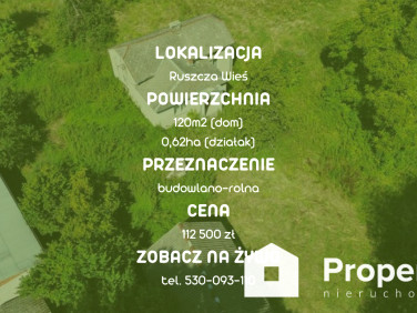 Dom Ruszcza-Płaszczyzna