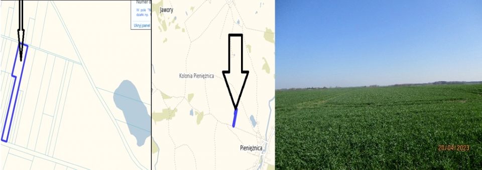 Działka rolna Pieniężnica sprzedam