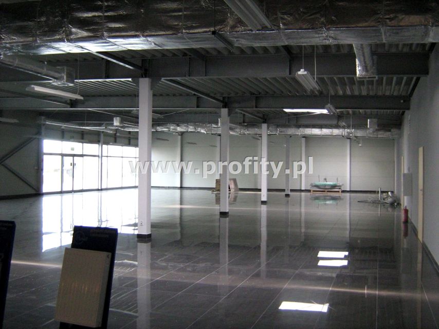 Lokal Gliwice