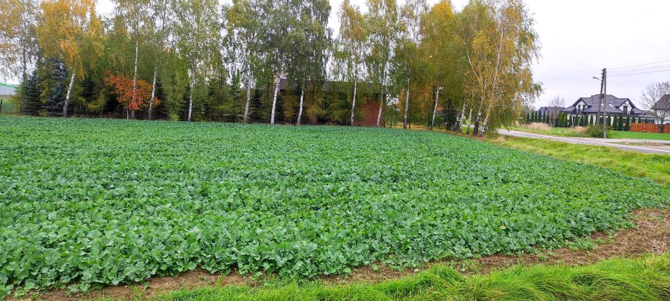 Działka budowlana Piotrków Trybunalski
