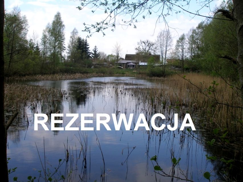 Działka Łaniewo