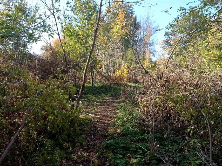 Działka budowlana Sosnowiec