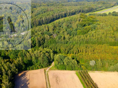 Działka przy lesie