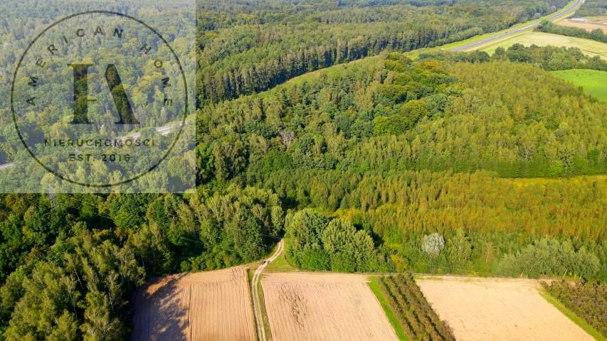 Działka przy lesie