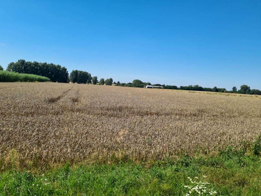 Działka budowlana Czemierniki