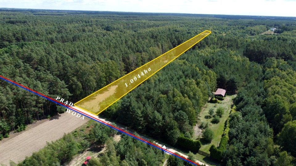 Zdjęcie 3