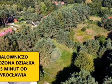 Działka Ozorowice