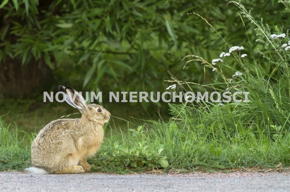 Działka Świerklaniec