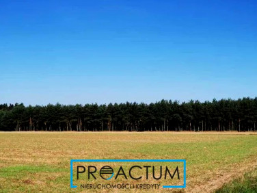 Działka przemysłowa Lubicz Dolny