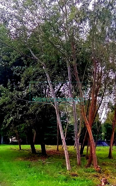 Działka budowlana sprzedam