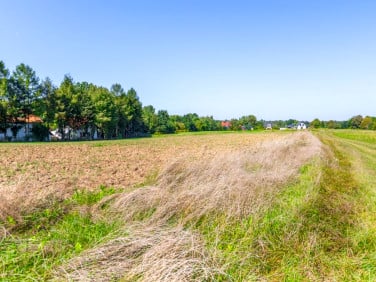 Działka Uniszowice
