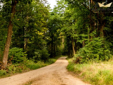 Działka Łyśniewo Sierakowickie