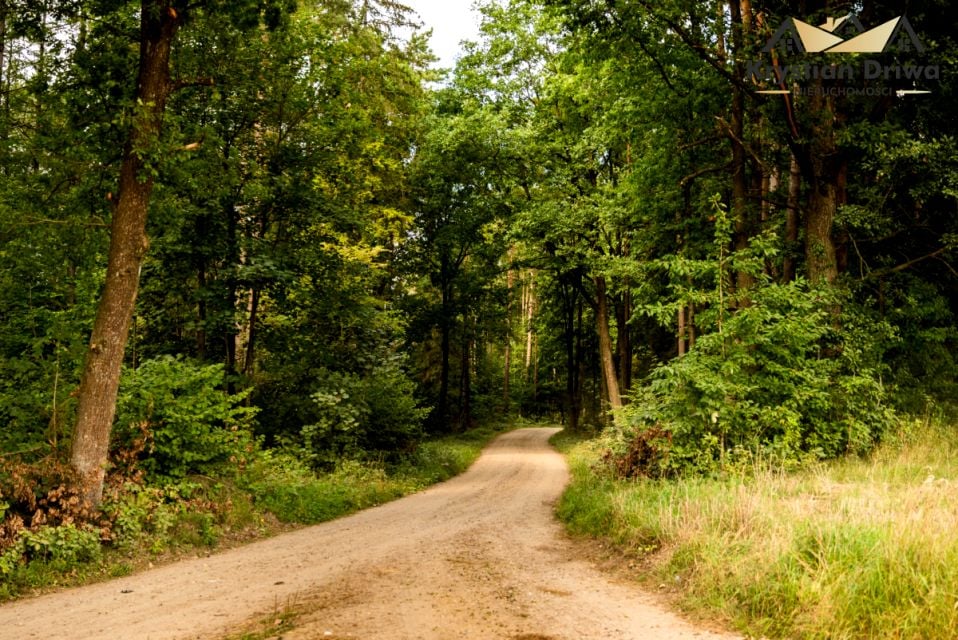 Działka Łyśniewo Sierakowickie