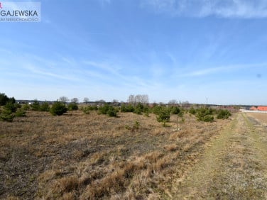 Zabudowana działka Paruszka