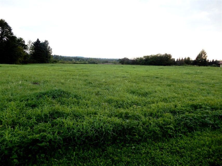 Działka budowlano-rolna Sobniów
