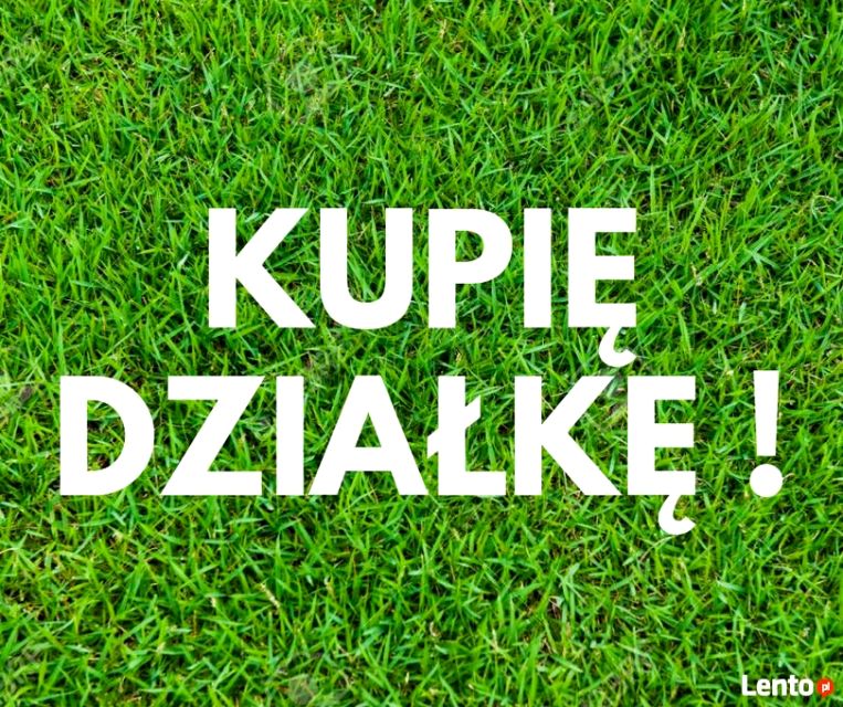 Działka budowlana Kielce