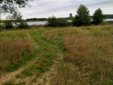Działka Czarnowo