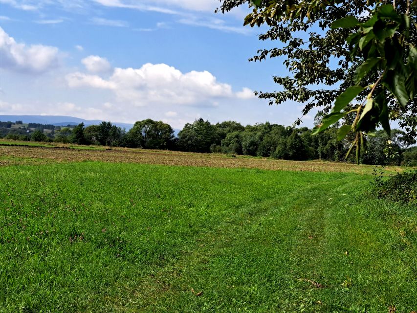 Działka rolna Nienaszów